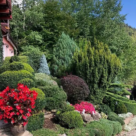 Guest house Veres Yaremche