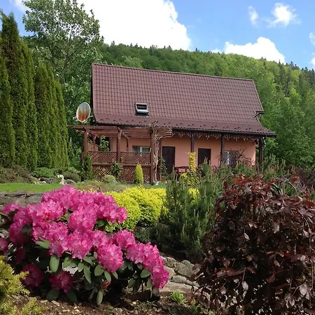 Guest house Veres Yaremche