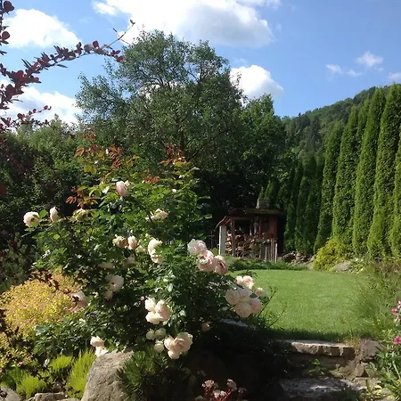 Guest house Veres 3*